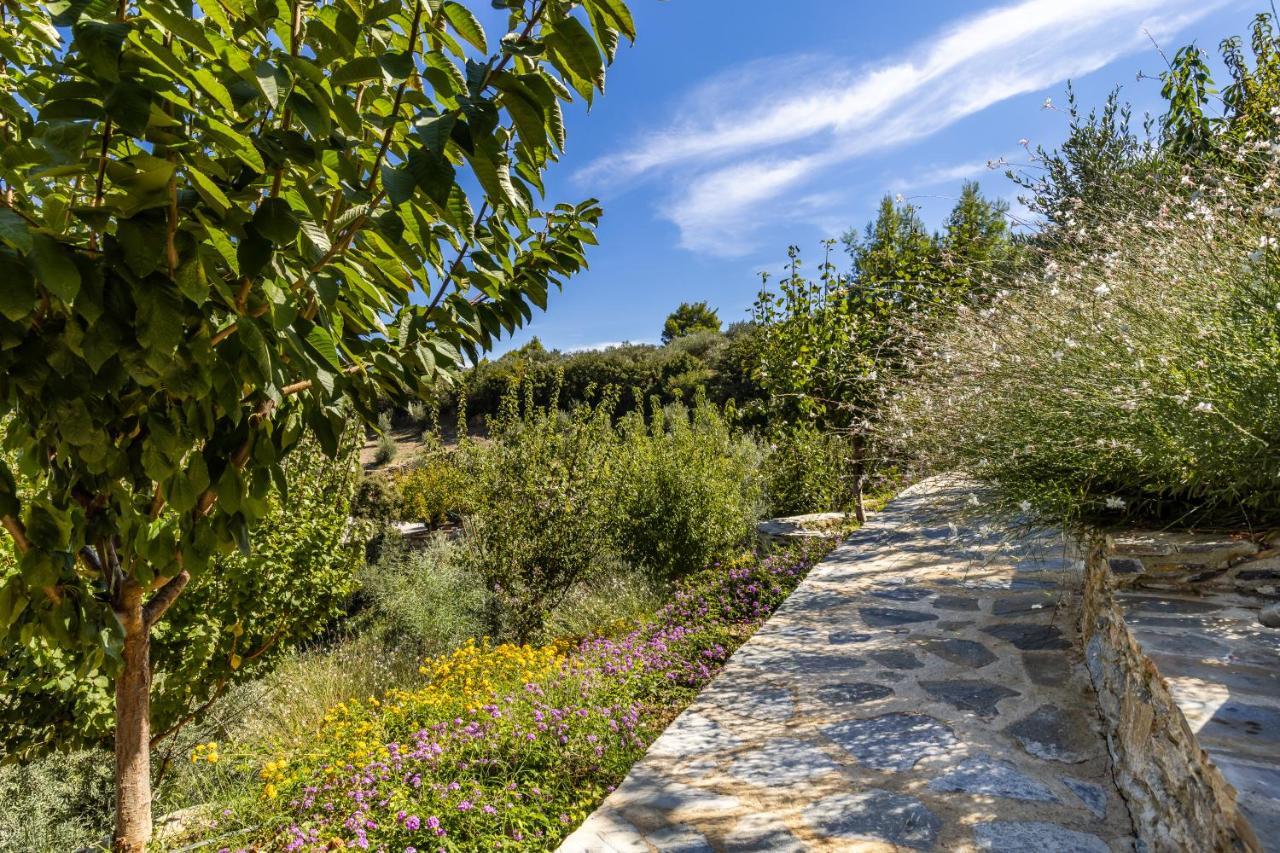 Villa Politimi Luxury Retreat Skopelos Buitenkant foto